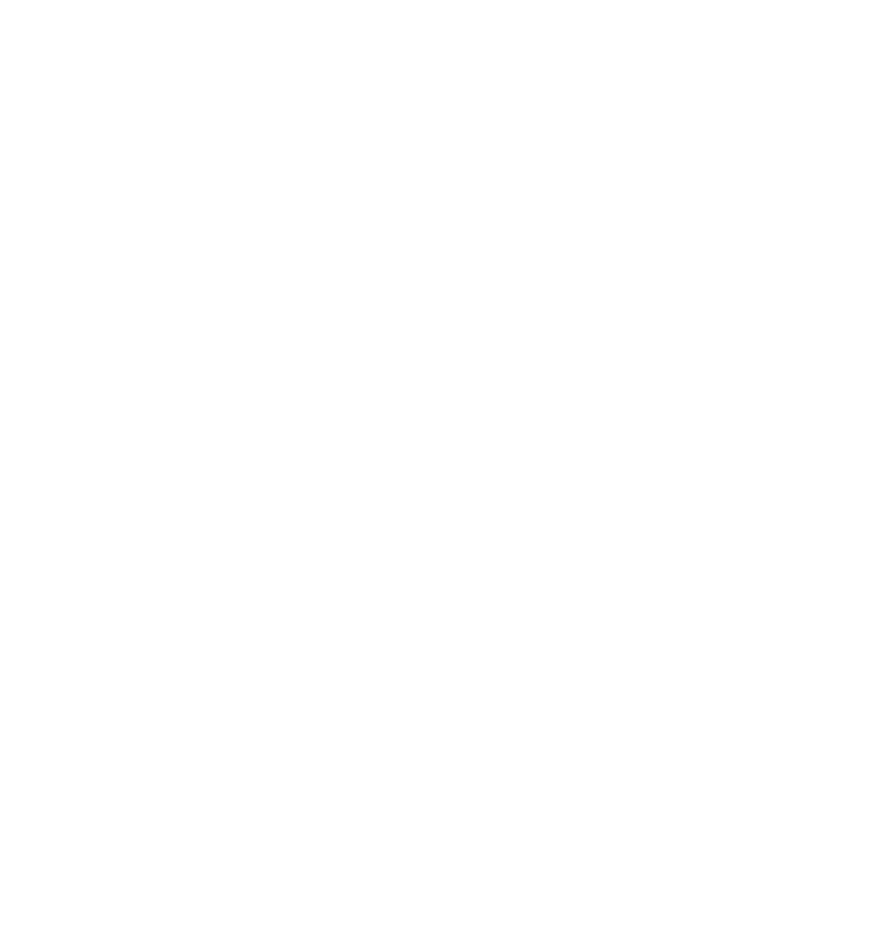 NB Care logo light